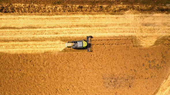 Top view of combine on yellow field in summer
