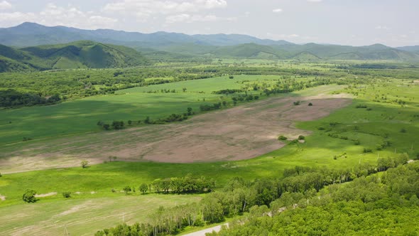 Drone View of a Landscape with Green Forests and Fields