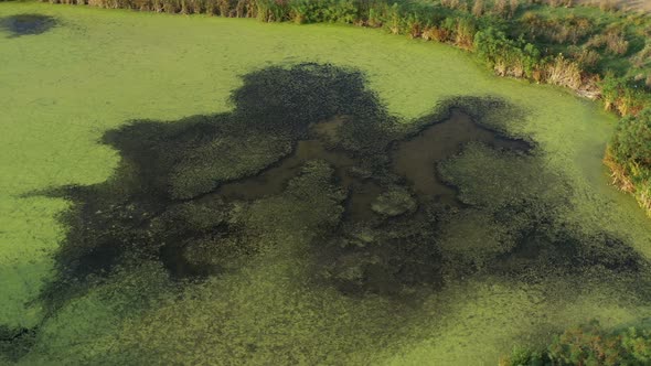 Flight Over A Beautiful Lake Dotted With Green Vegetation 13