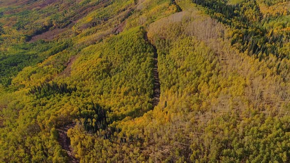 Fall on Owl Creek Pass, Colorado