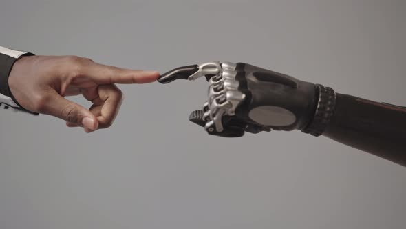 Human and Bionic Hands Touching with Fingers