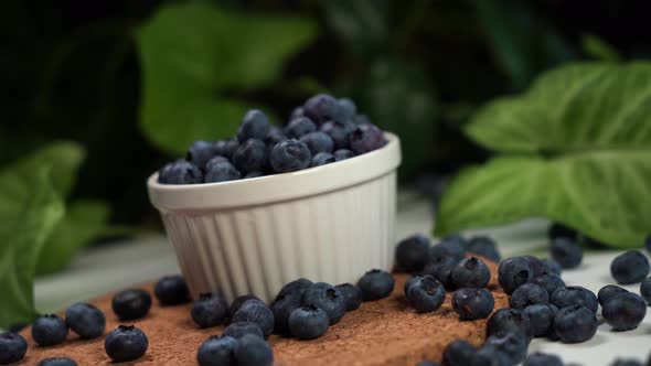 Blueberries Lying on the Table and in a White Bowl