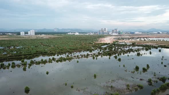 Aerial view mangrove trees and development 