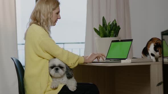 Woman Working on Chroma Key Laptop in Home Office with Cat and Dog Rbbro