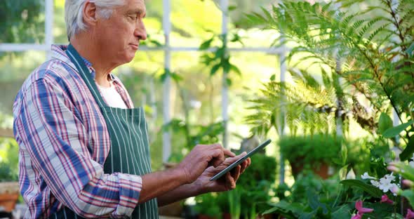 Mature man using digital tablet