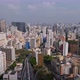 Drone Image, Going Up, Going Backwards, Flies Over An Avenue, Streets In Sao Paulo, Brazil - VideoHive Item for Sale