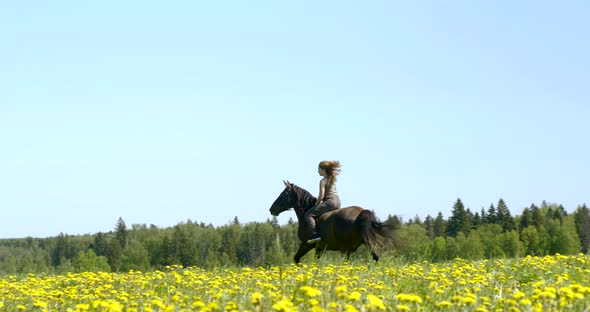 Lady with Dark Hair Rides Horse Professionally Along Field