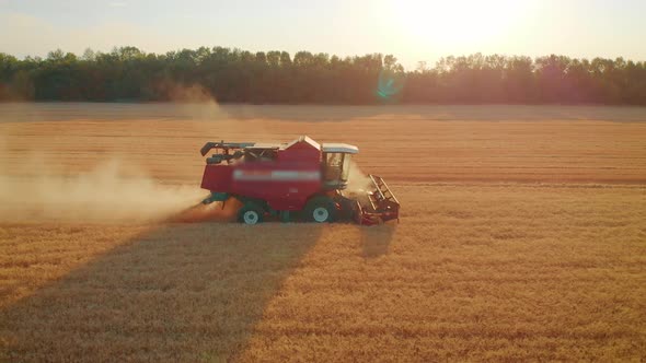 Aerial View Red Harvester Working in the Field, Combine Harvester Agricultural Machine Collecting