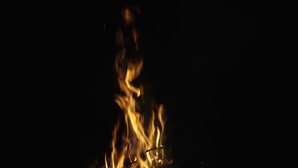 Camp Fire