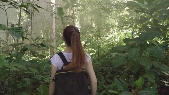 Girl Hiker Walking In Forest