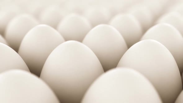 Endless animation of the white chicken's eggs infinite array. Loopable. HD