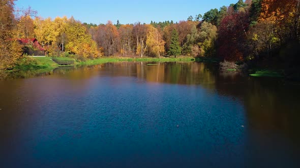 Colorful Autumn Forest Wood on the Lake