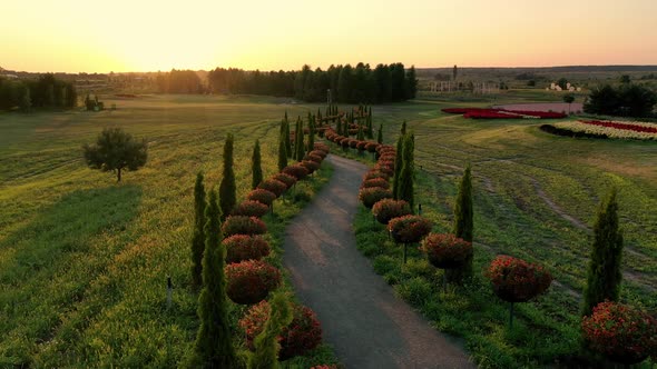 Scenic Landscape of Beautiful Summer Park Dobropark at Sunrise Motyzhyn Ukraine