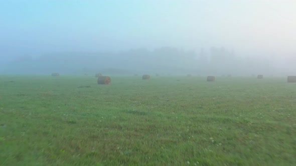 Hay Roll Field