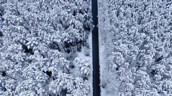 Aerial view of road through snowy forest. Transport in winter