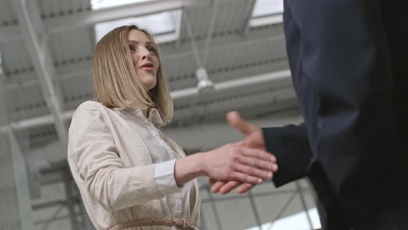 Beautiful Businesswoman Shaking Hand of Male Colleague