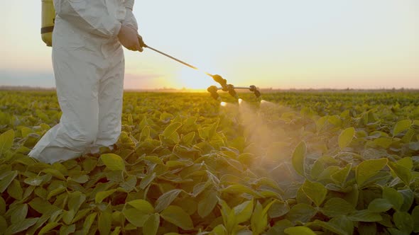 Spray Ecological Pesticide. Farmer Fumigate in Protective Suit and Mask Spraying Fertilizers on