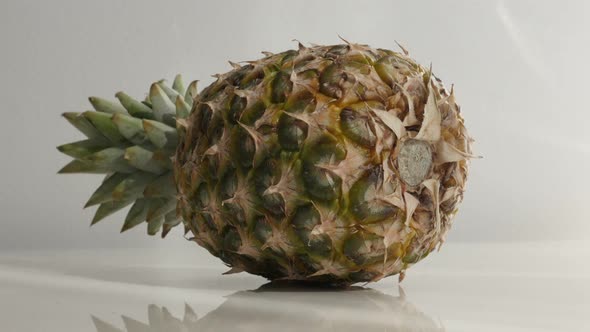 Fresh exotic pineapple on white slow tilt 4K 2160p 30fps UltraHD footage -  Ananas comosus tropical 