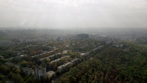 Residential Buildings Between Trees and Forest City with a Lot of Forest Drone