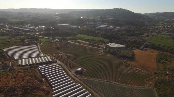 Fruit Gardens and Greenhouses