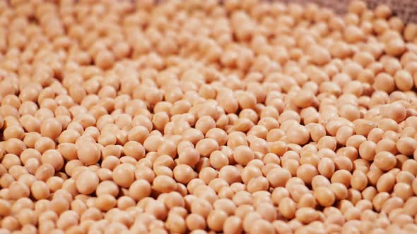 Soybean High in Fiber Top View Texture Supplementary Food Protein Healthy Food Organic Soybean Raw