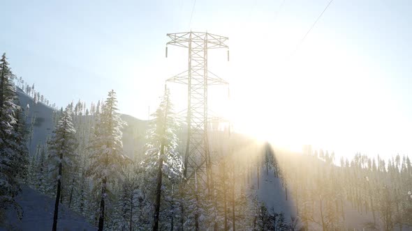 Electric Line at Sunrise in Snow Covered Forest