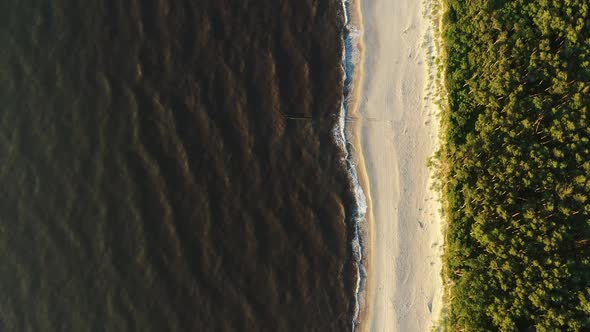 Curonian Spit Wth Baltic Sea Coastline on Sunset