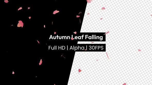 Autumn Leaf Leaves Falling with Alpha
