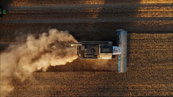 Combine Harvesting Wheat Top View of a Wheatfield