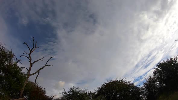 Timelapse of clouds as Cyclone Eloise begins over African bushveld