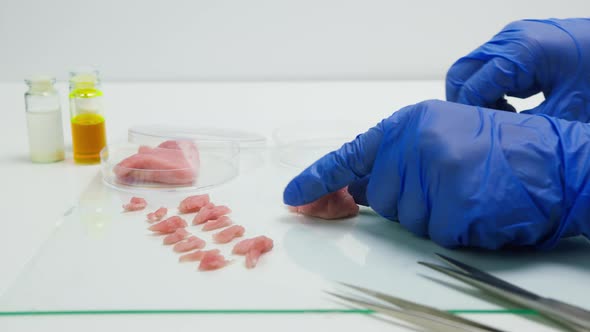 Medical Scientist Specialist in Medical Uniform Cutting and Taking a Piece of Meat with Tweezers for