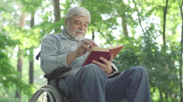 Bottom Angle View of Absorbed Disabled Senior Man Reading Book and Smiling. Intelligent Handicapped