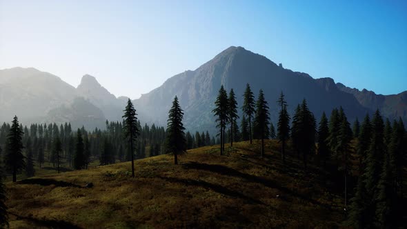 Aerial View Over Mountain Range with Pine Forest in Bavaria alt