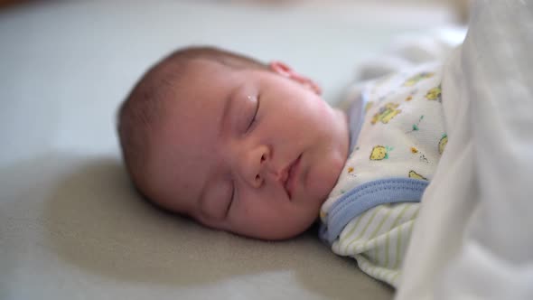 Newborn Sleeping Under a Blanket