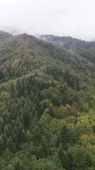 Carpathian Mountains