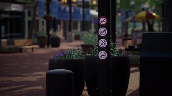 Quiet City Park with Trees and Benches