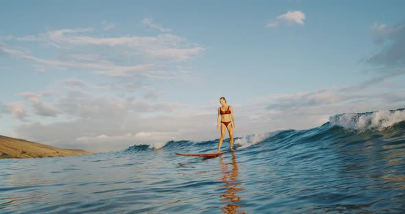 Surfing at sunset alt