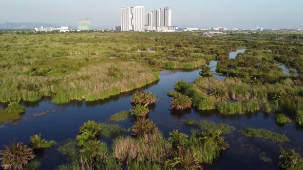 Wetland of Malaysia at Batu Kawan