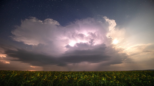 Time-lapse. Beautiful thunderstorm with clouds, lightning and moon over a field with sunflowers