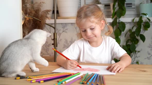 a Little Blonde Girl is Drawing a Heart with Colored Pencils and a White Scottish Kitten is Sitting