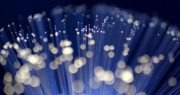 Optical fiber light