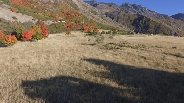 A drone captures aerial footage of an alpine meadow in the fall as tree leaves change color into bri