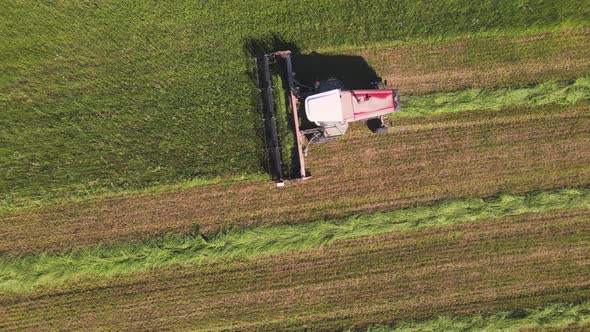 Combine Harvester Mows Grass on a Farmer's Field Aerial View