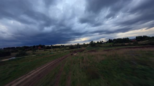 Low flying above green field chasing herd of horses