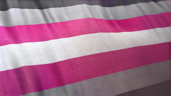 Demigirl Pride Flag Loop alt