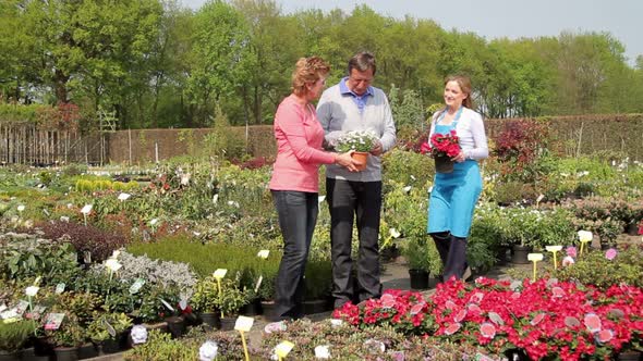 Garden centre employee handing over plant in pot to Mature female customer in garden centre