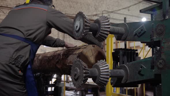 Worker Corrects a Log on a Conveyor Belt. Processing of Round Timber Logs for Building Wooden House