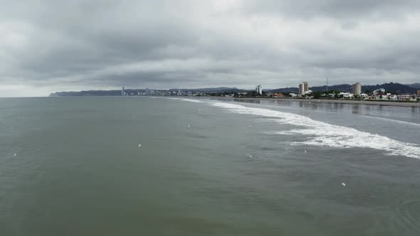 Coastline with high buildings in the background and seagulls