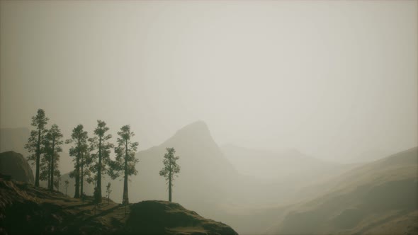 Misty Forest on the Mountain Slope alt