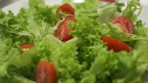 Appetizing Salad On Plate